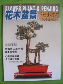 花木盆景--盆景赏石（2014年12月号）