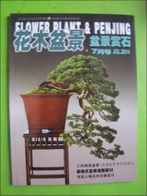 花木盆景--盆景赏石（2014年7月号）