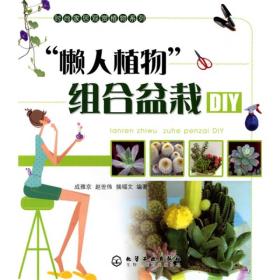 懒人植物组合盆栽DIY