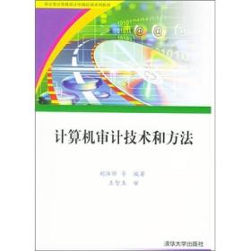 计算机审计技术和方法/审计署计算机审计中级培训系列~