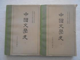 中国文学史一二