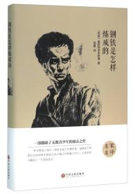 钢铁是怎样炼成的 精装 名家名译 中小学生课外阅读 中国文联出版社