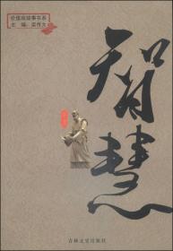 智慧栾传大吉林文史出版社9787547222621