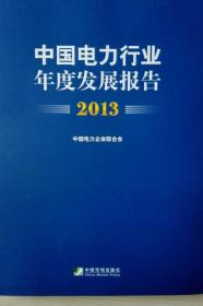 中国电力行业年度发展报告2013现货处理