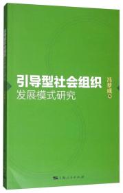 引导型社会组织发展模式研究