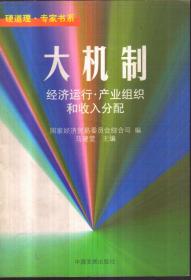 大机制:经济运行·产业组织和收入分配