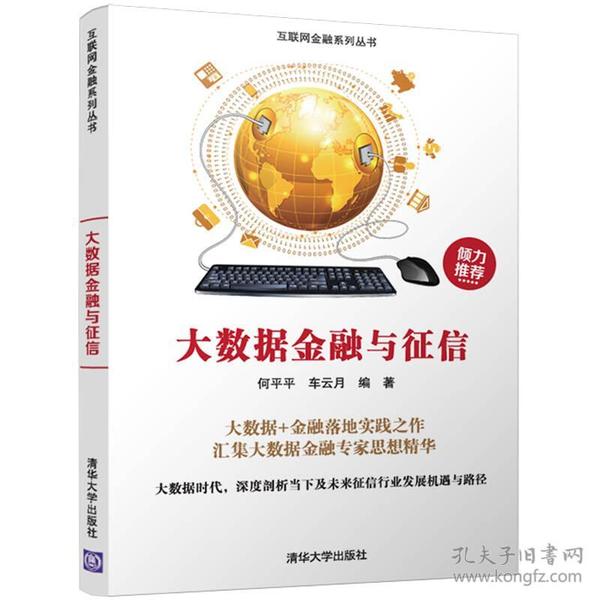 大数据金融与征信/互联网金融系列丛书