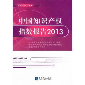 中国知识产权指数报告2013