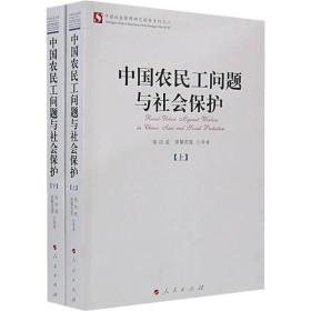 中国农民工问题与社会保护（上下）