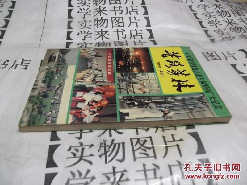 苦路芳林:知青创建连云港东风制药厂大纪实      T3