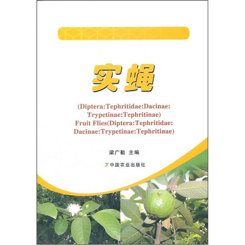 實(shí)蠅