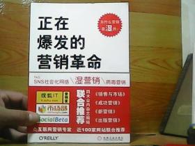 正在爆发的营销革命：社会化网络营销指南