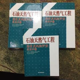 石油天然气工程造价及风险评估实用手册（3册全）