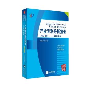 产业专利分析报告(第34册高端存储)