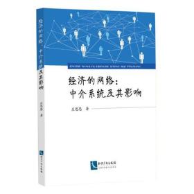 经济系统的结构：中介系统及其影响研究