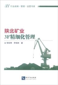 知识产权出版社 行业战略·管理·运营书系 陕北矿业3F精细化管理