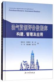 油气资源评价数据库构建、管理及应用（塑缝破损）