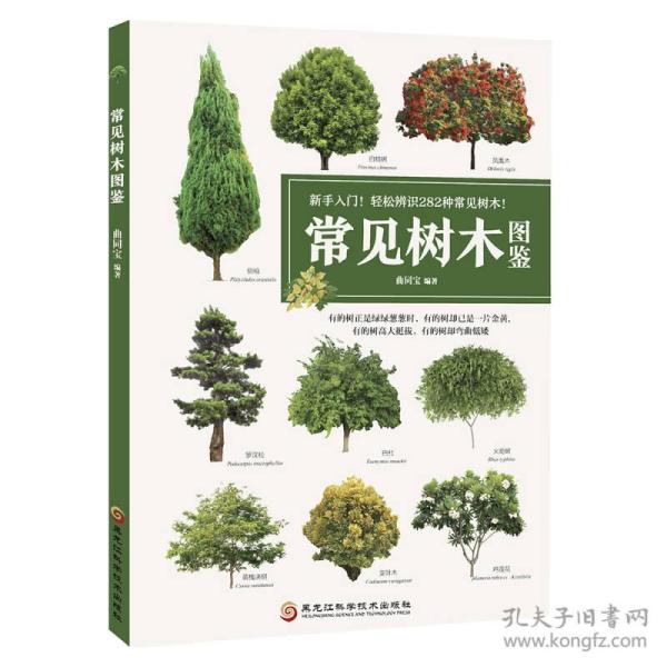 常见树木图鉴