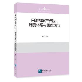 网络知识产权法：制度体系与原理规范