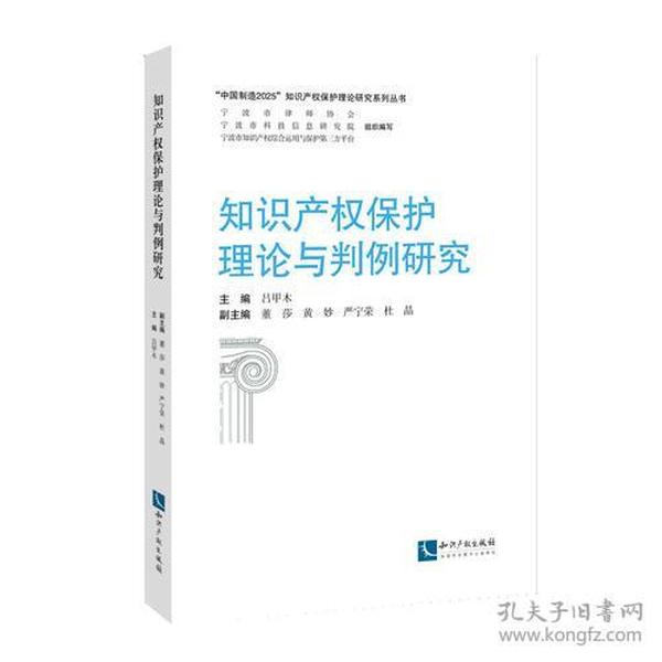 知识产权保护理论与判例研究