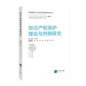 知识产权保护理论与判例研究