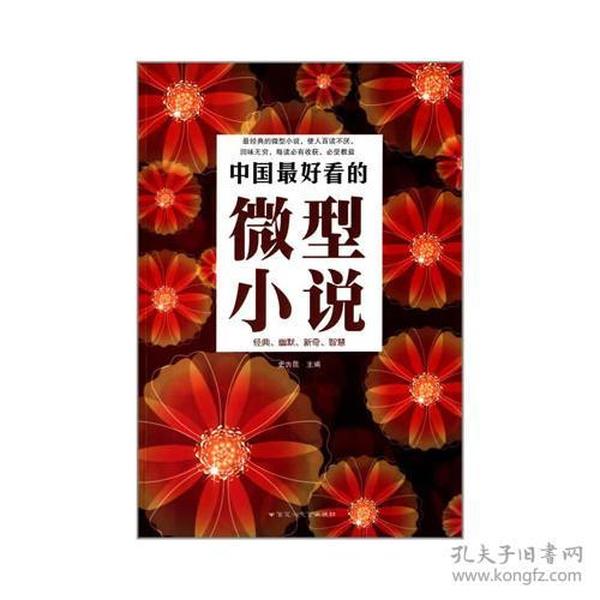 中国最好看的微型小说
