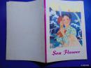 sea Flower(海花）-彩版连环画=1975年外文出版社-18开