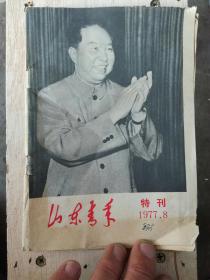 山东青年（特刊）