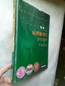 病理解剖学彩色图谱——医学教学图谱系列