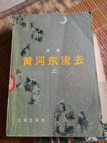 黄河东流去（上）