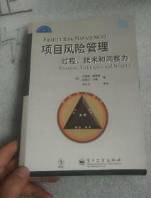 项目风险管理过程.技术和洞察力