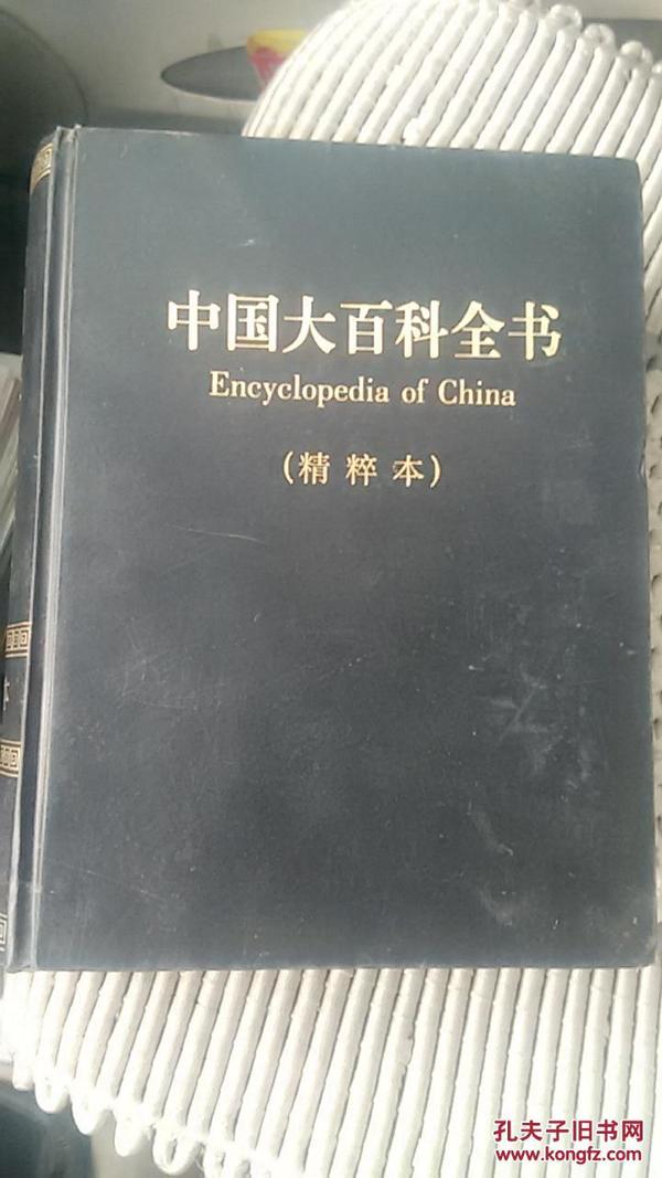 中国大百科全书（精粹本）