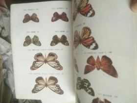 常见昆虫图册.第一册.鳞，翅，目（郴州经济昆虫志）