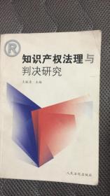 知识产权法理与判决研究