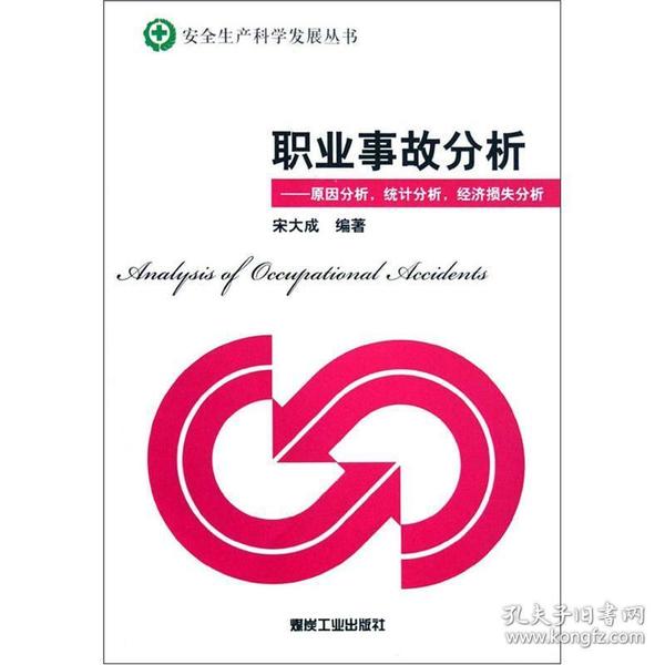 职业事故分析：原因分析、统计分析、经济损失分析