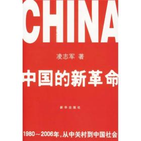 中国的新革命 电子资源.图书 1980～2006年，从中关村到中国社会 China's new revo