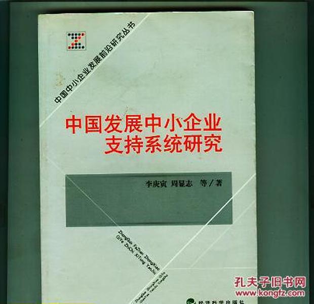 中国发展中小企业支持系统研究——中国中小企业发展前沿研究丛书