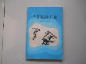 太阳照常升起  包邮
