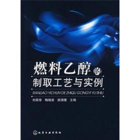 燃料乙醇的制取工艺与实例.