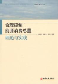 合理控制能源消费总量理论与实践 王仲颖 中国经济出版