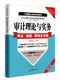 审计理论与实务考点·真题·预测全攻略