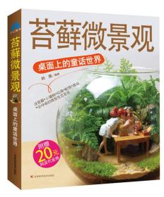 苔藓微景观：桌面上的童话世界