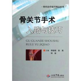 骨关节手术入路与技巧.骨科诊疗技巧精品系列