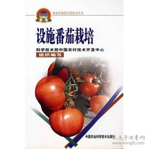 设施番茄栽培