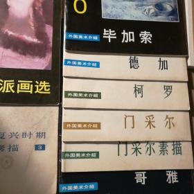 外国美术介绍 文艺复兴时期名家素描 印象派画选 毕加索 德加 柯罗 门采尔 戈雅 （9册合售）【 正版品好 实拍如图 】