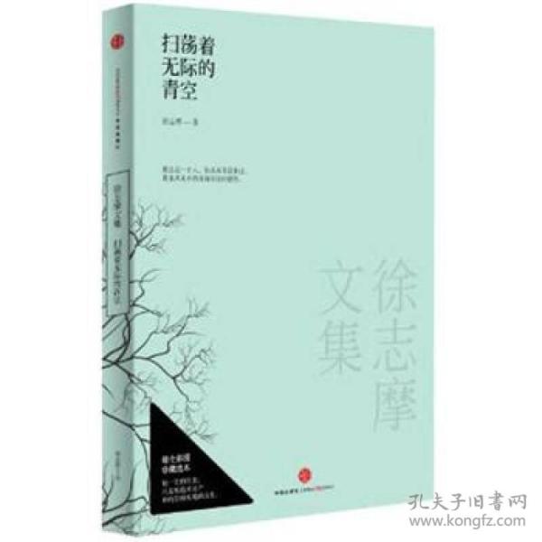 徐志摩文集：扫荡着无际的青空（彩绘珍藏版)（迄今为止最痴情、真韵、纯爱的经典荟萃，最值得珍藏的读本）