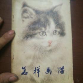 怎样画猫