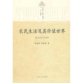 农民生活及其价值世界：皖北李圩村调查   全新正版