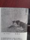 美术插页（单张）何香凝国画《虎》，潘景友文章《中国历史上的女画家》