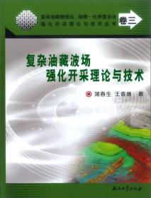 复杂油藏物理法、物理 化学复合法强化开采理论与技术丛书（卷三）：复杂油藏波场强化开采理论与技术